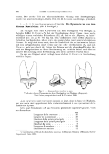 Bericht der Schweizerischen Paläontologischen