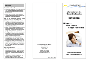 Info-Flyer: Neue Grippe