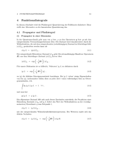 Funktionalintegrale in der Quantenfeldtheorie