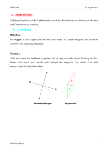 12. Magnetismus - Claude Loullingen