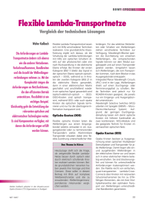 Flexible Lambda-Transportnetze - NET-im-web