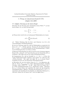 5.¨Ubung zur Quantenmechanik II (T5)