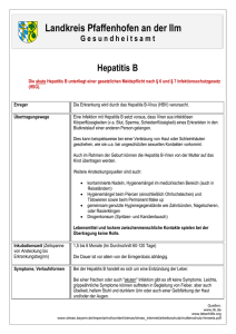 Infoblatt Hepatitis B - Landkreis Pfaffenhofen