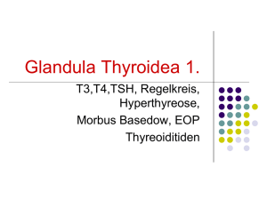 Glandula Thyroidea 1.