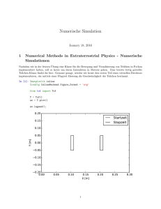 Numerische Simulation