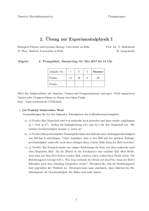 Übung 2 - Biological Physics and Systems Biology