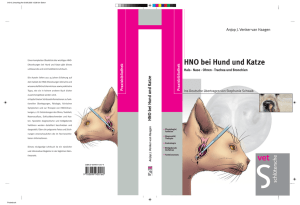 HNO bei Hund und Katze