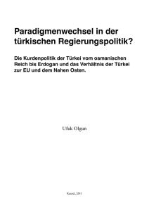 Paradigmenwechsel in der türkischen Regierungspolitik?