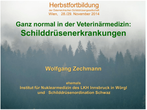 Zechmann: Ganz normal in der Veterinärmedizin