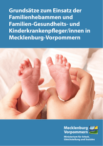 Grunds&auml;tze zum Einsatz der Familienhebammen und Familien