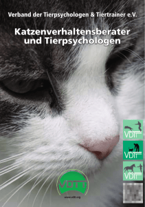 Katzenverhaltensberater und Tierpsychologen