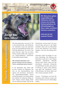 lesen als PDF - Tierarztpraxis Krefeld