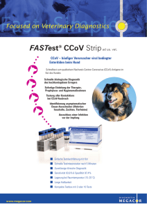 FASTest® CCoV Strip - MEGACOR Diagnostik GmbH