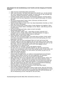 10 Regeln f&uuml;r Kinder und Hunde