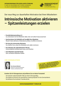 Intrinsische Motivation aktivieren – Spitzenleistungen erzielen