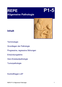 Repedossier Pathologie P1-P5