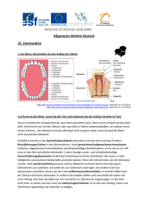 Allgemeine Medizin Deutsch 16. Zahnmedizin