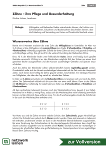 Vorschau - Netzwerk Lernen