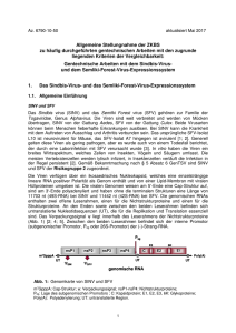 Allgemeine Stellungnahme der ZKBS zu häufig durchgeführten