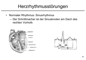 Herzrhythmusstörungen - Informatik