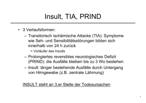 Insult, TIA, PRIND - Informatik