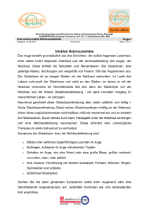 Infoblatt Netzhautdefekte - Primª. Univ. Prof. Dr. Pia Veronika Vécsei