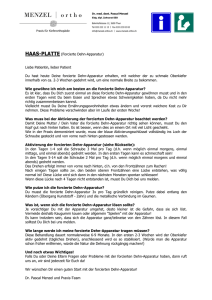 Infoblatt Haas-Platte