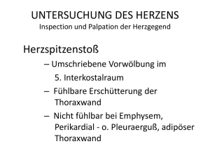 Untersuchung des Herzens