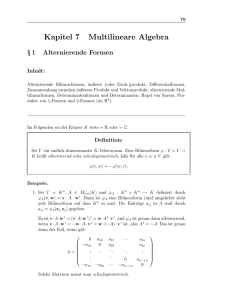 Kapitel 7 Multilineare Algebra