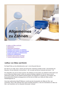 Allgemeines zu Zähnen