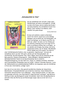 Schutzschild im Visier - web359 @ itsbserver.org