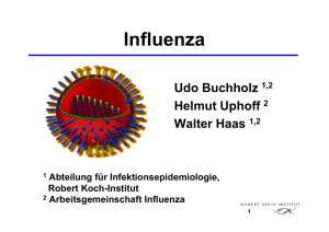 Influenza, eine Powerpointpräsentation