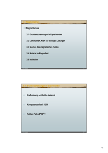 Magnetismus - Lehrstuhl für Didaktik der Physik