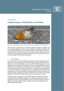 Vogelschlag an Glasflächen vermeiden