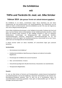 Die Schilddrüse mit THPin und Tierärztin Dr. med. vet. Silke Stricker