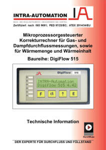 Mikroprozessorgesteuerter Korrekturrechner für Gas