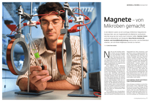 Magnete - Max-Planck-Institut für Kolloid
