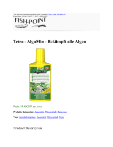 Tetra - AlguMin - Bekämpft alle Algen : Fish