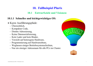 10. Fallbeispiel Plurix