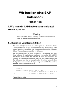 1. Wie man ein SAP hacken kann und dabei seinen Spaß hat