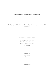 Tier&auml;rztliche Hochschule Hannover