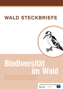 WALD STECKBRIEFE - Österreichischer Alpenverein