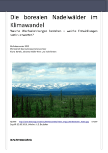 Die borealen Nadelwälder im Klimawandel
