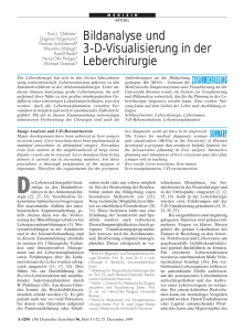 Bildanalyse und 3-D-Visualisierung in der Leberchirurgie
