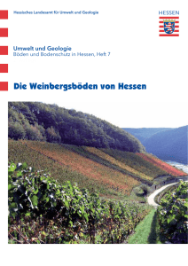 Die Weinbergsböden von Hessen - Hessisches Landesamt für