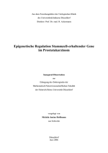 Epigenetische Regulation Stammzell