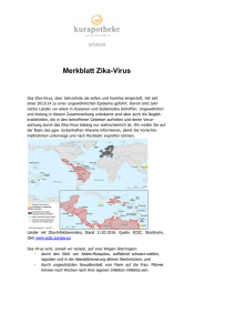 Merkblatt Zika-Virus
