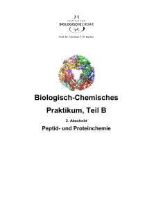 Praktikum/Skript Teil 2