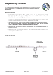Pflegeanleitung Querflöte v1.1