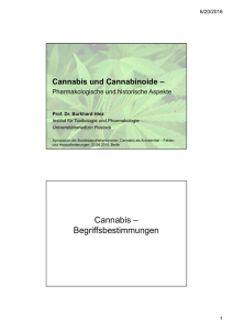 Cannabis und Cannabinoide, Prof. Dr. Burkhard Hinz